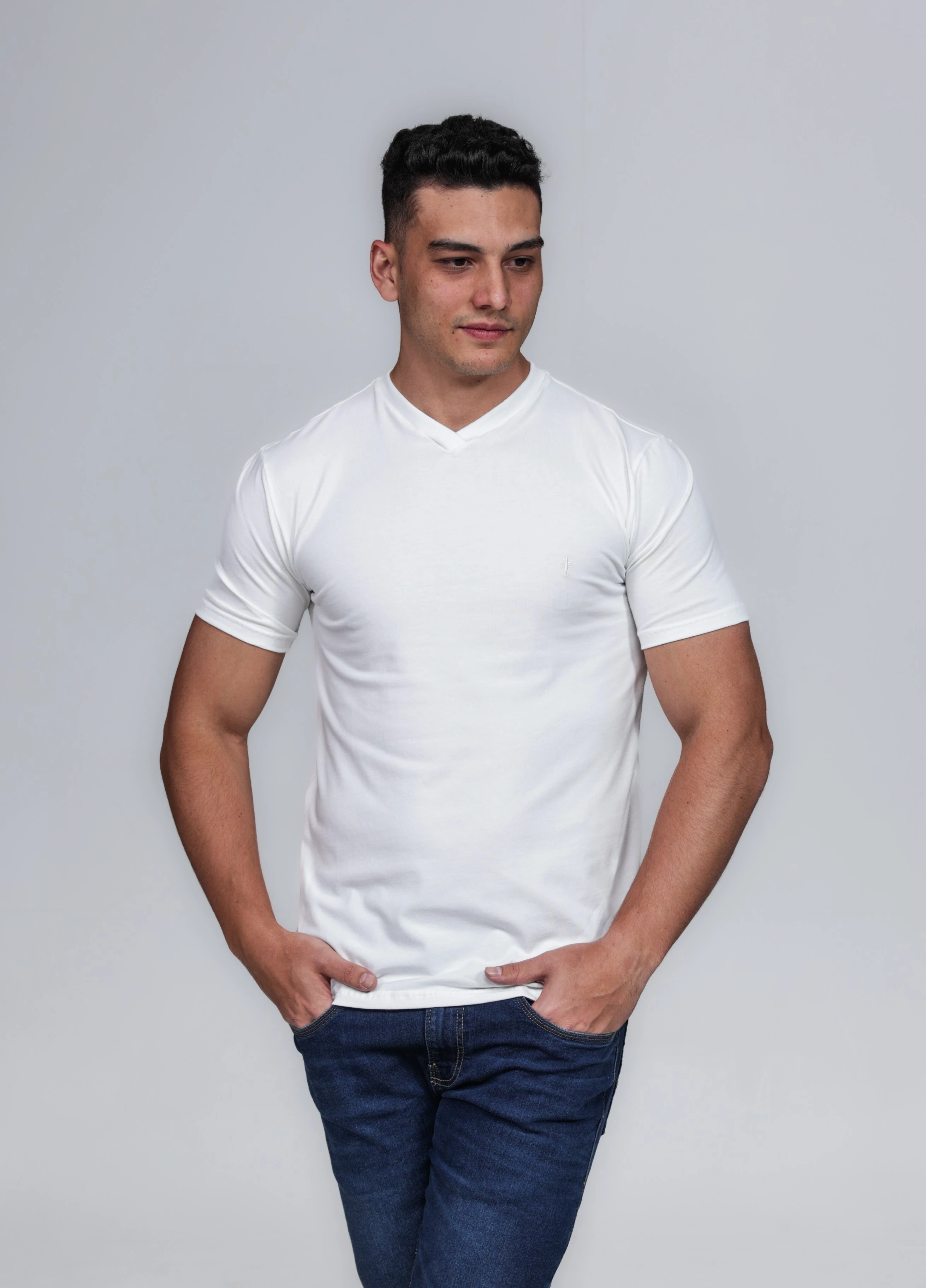 CAMISETA MASCULINA GOLA V 100% ALGODÃO PÉROLA CONFORT