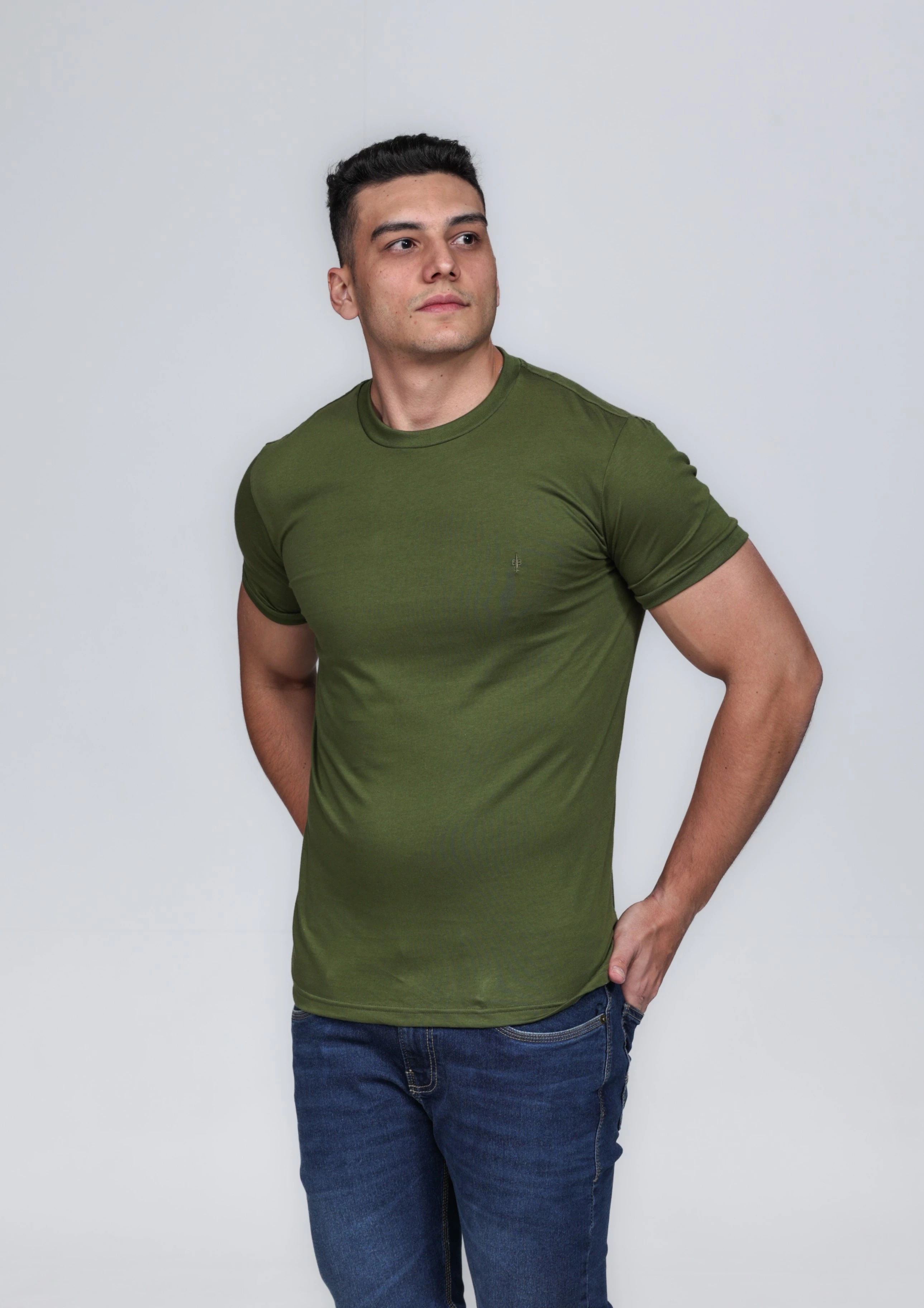 CAMISETA MASCULINA GOLA CARECA ALGODÃO PIMA VERDE