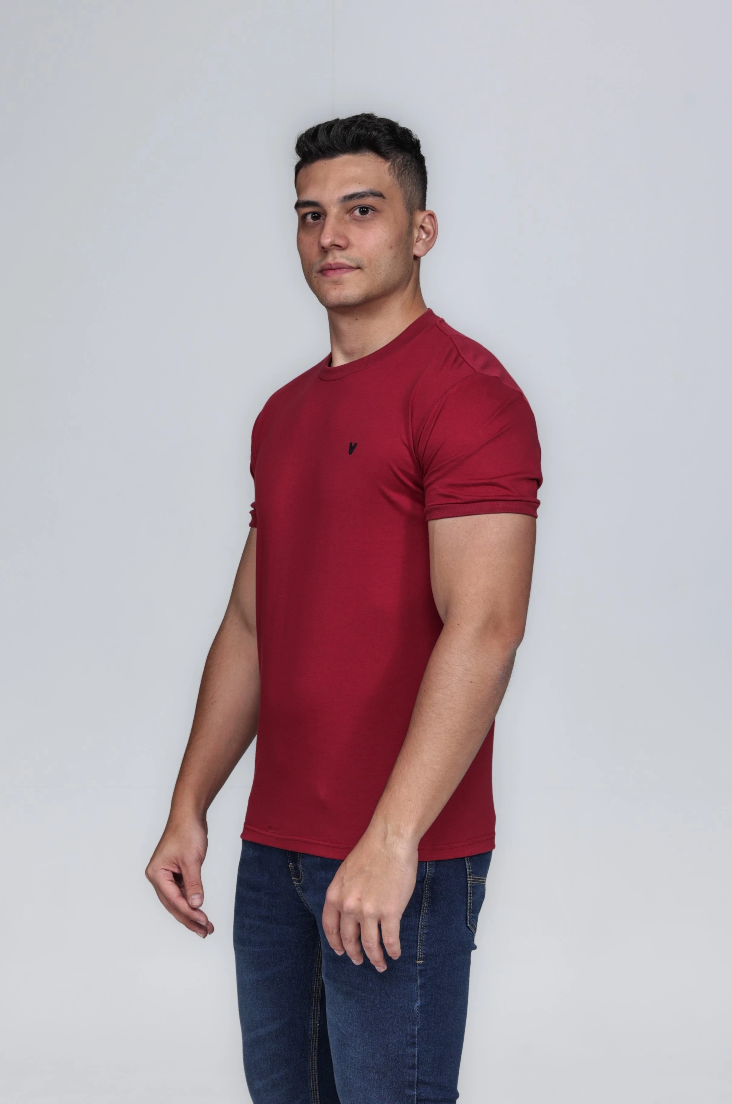 CAMISETA MASCULINA GOLA CARECA ALGODÃO PIMA MARSALA