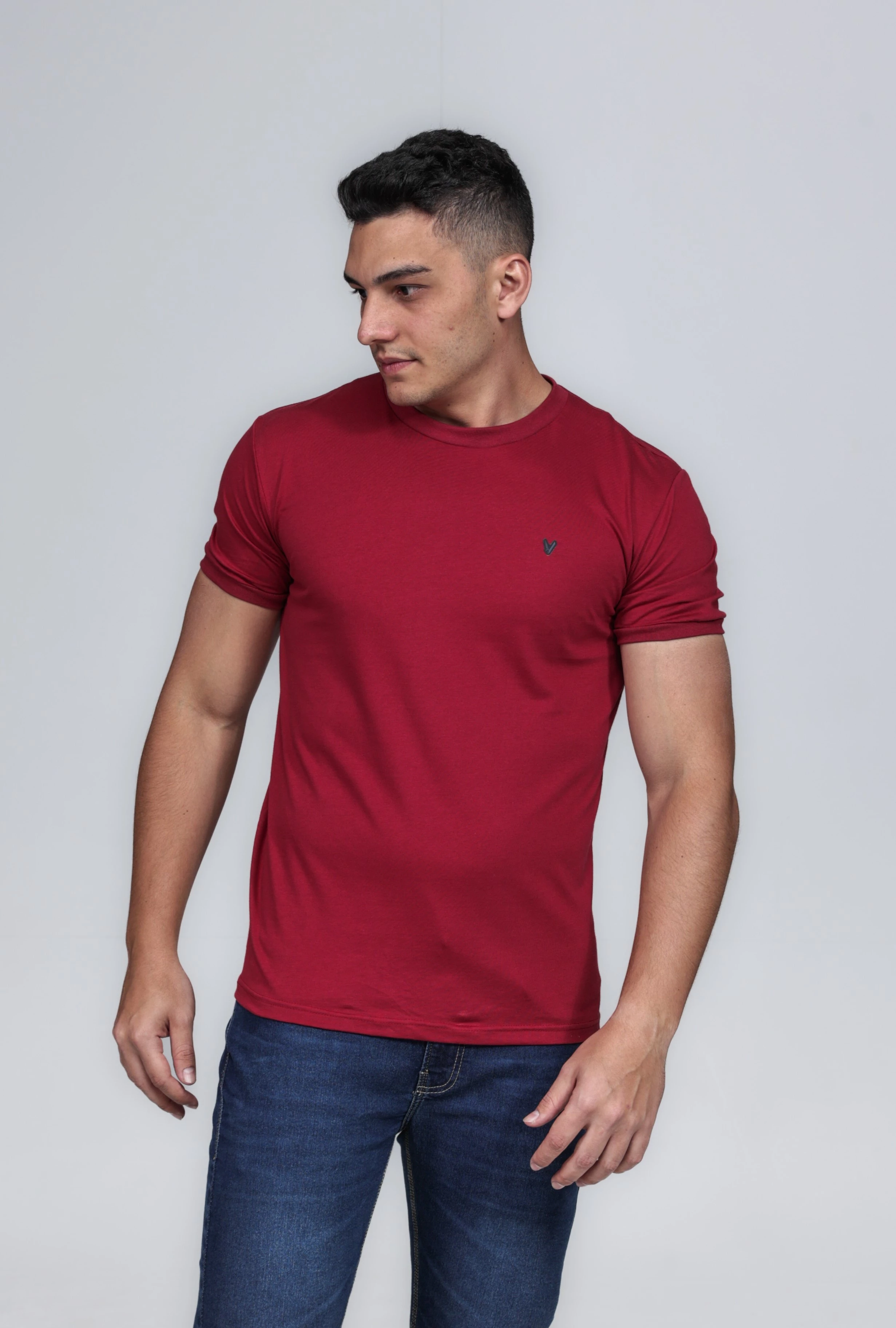 CAMISETA MASCULINA GOLA CARECA ALGODÃO PIMA MARSALA