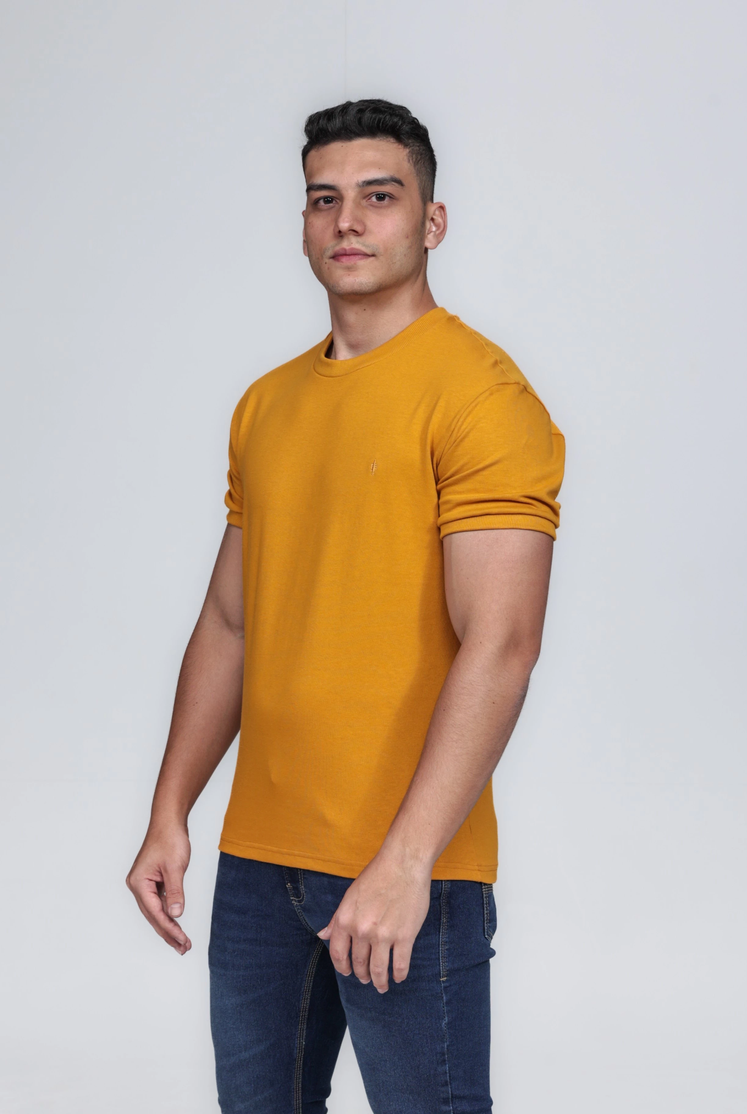 CAMISETA MASCULINA GOLA CARECA 100% ALGODÃO CARAMELO BARCELONA